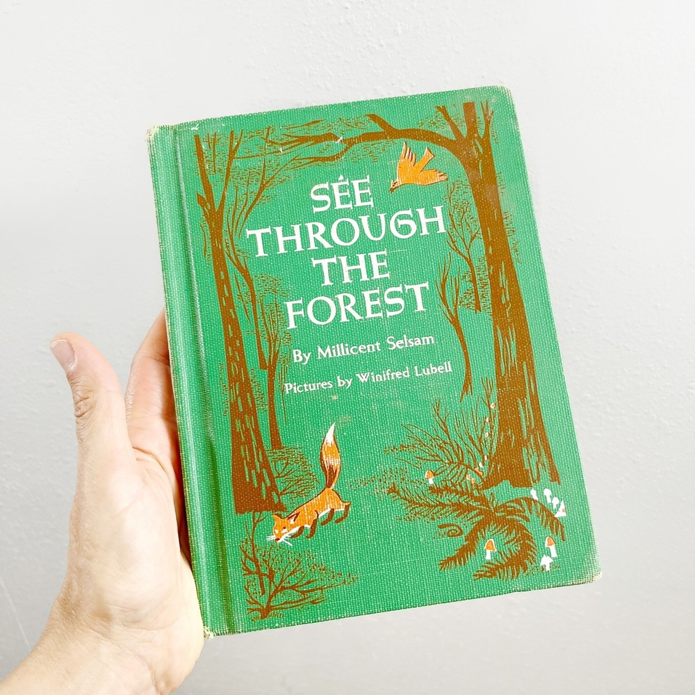 SEE THROUGH THE FOREST Vintage Book written by Millicent Selsam 1956